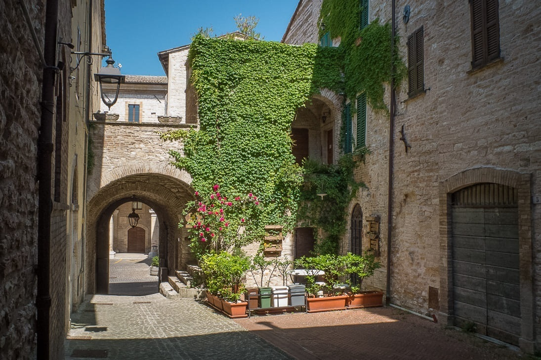immagine annuncio 5 di 10