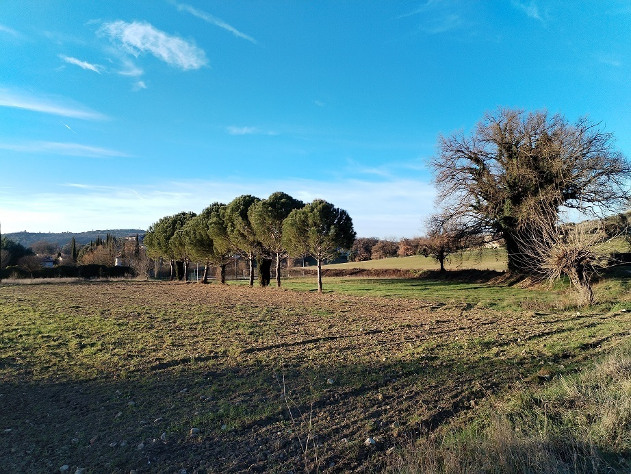 terreno edificabile in vendita a Corciano in zona Capocavallo