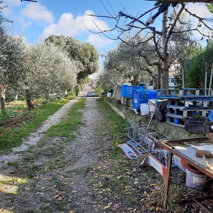 immagine annuncio 5 di 10