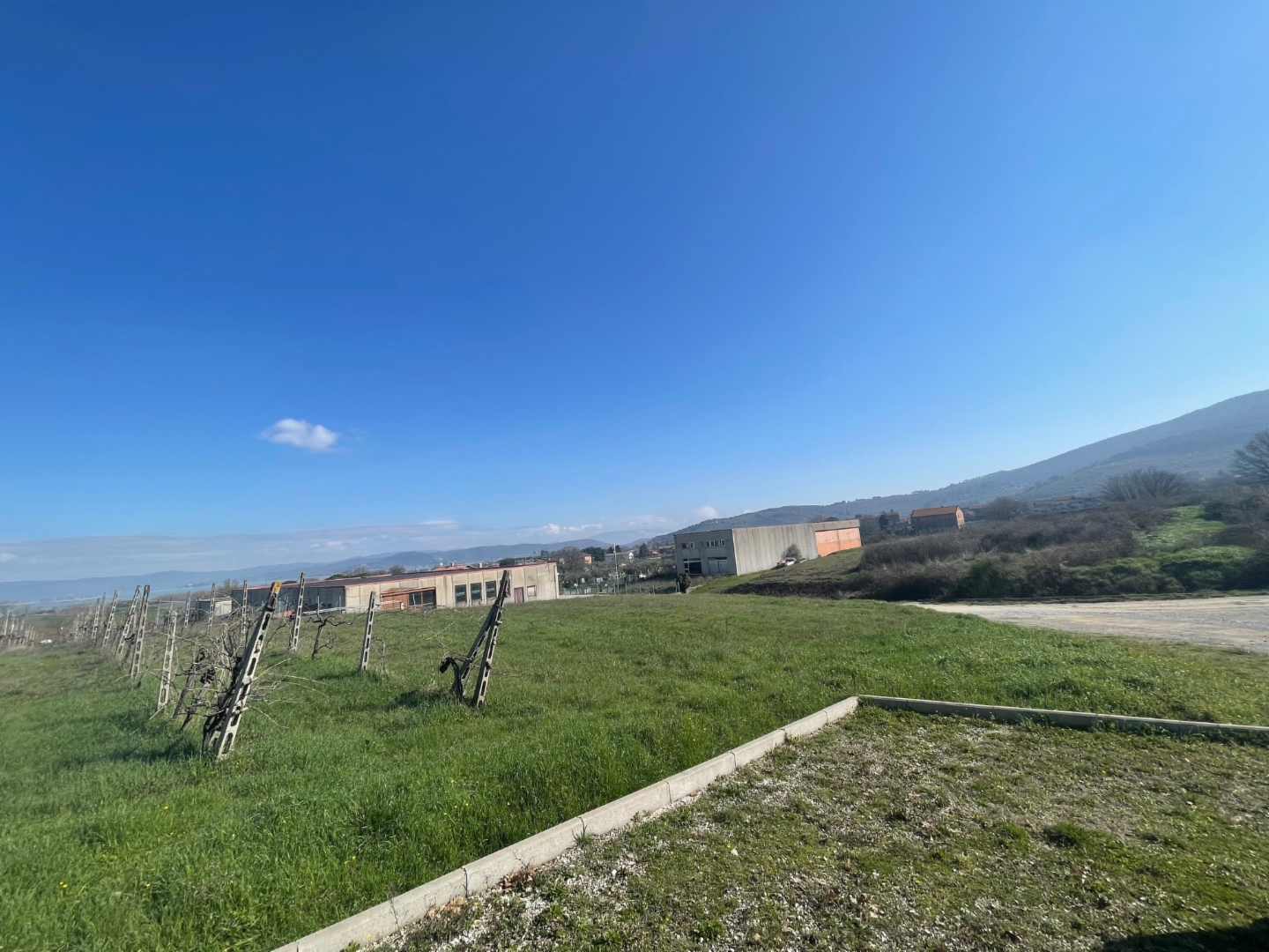 immagine annuncio 8 di 9