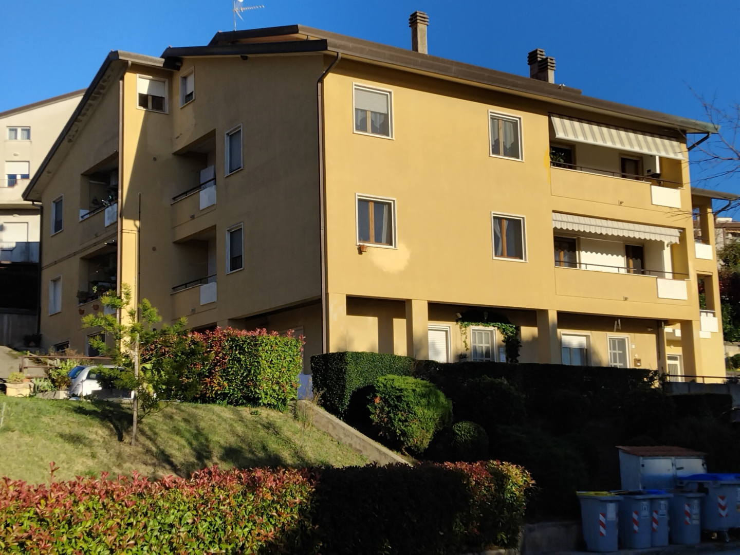 immagine annuncio 9 di 10