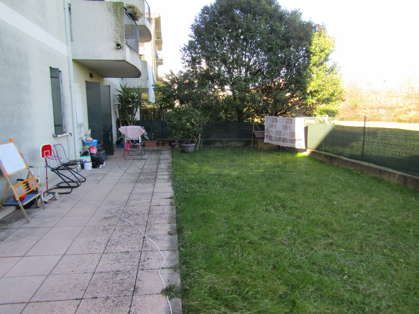 immagine annuncio 5 di 7