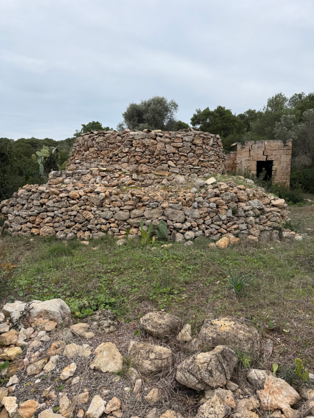 immagine annuncio 2 di 10