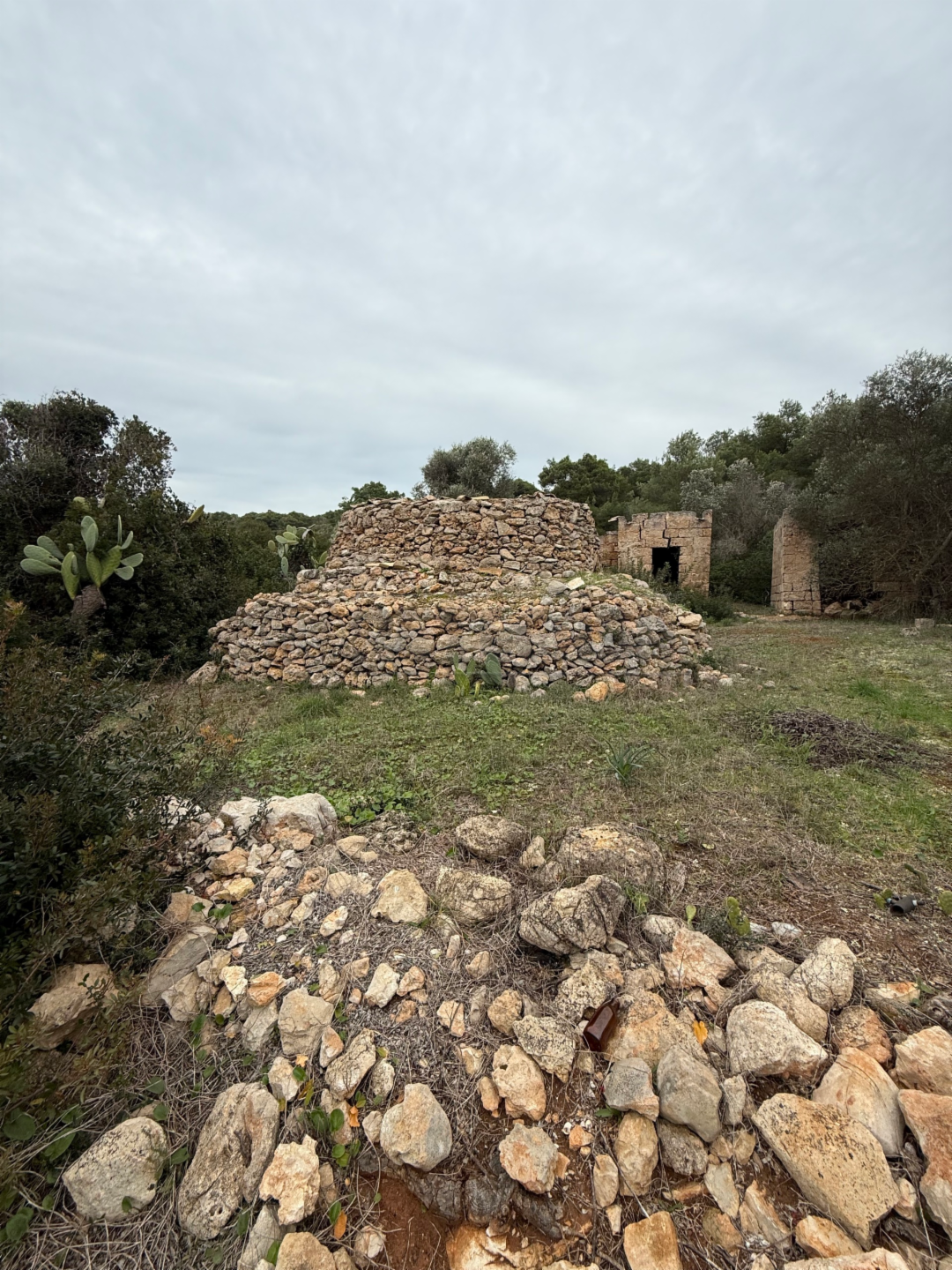 immagine annuncio 3 di 10