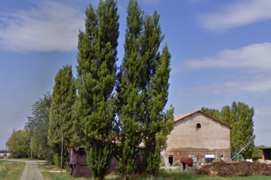 immagine annuncio 3 di 4