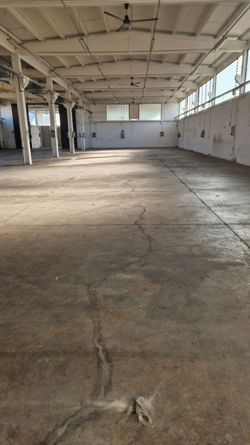 immagine annuncio 6 di 7