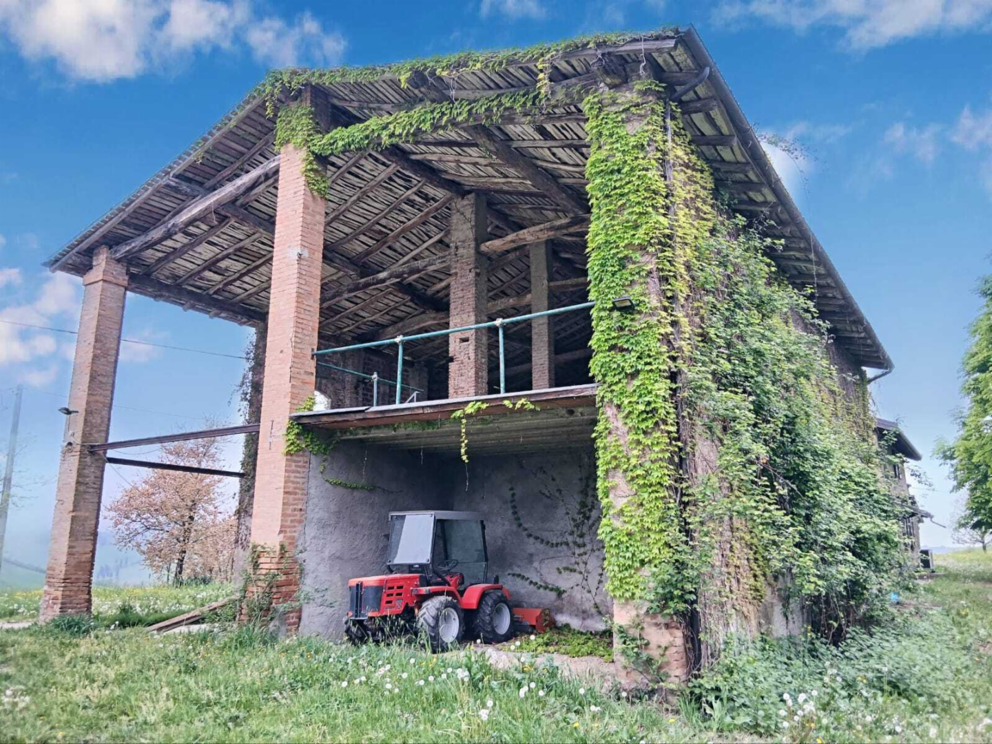 immagine annuncio 5 di 10