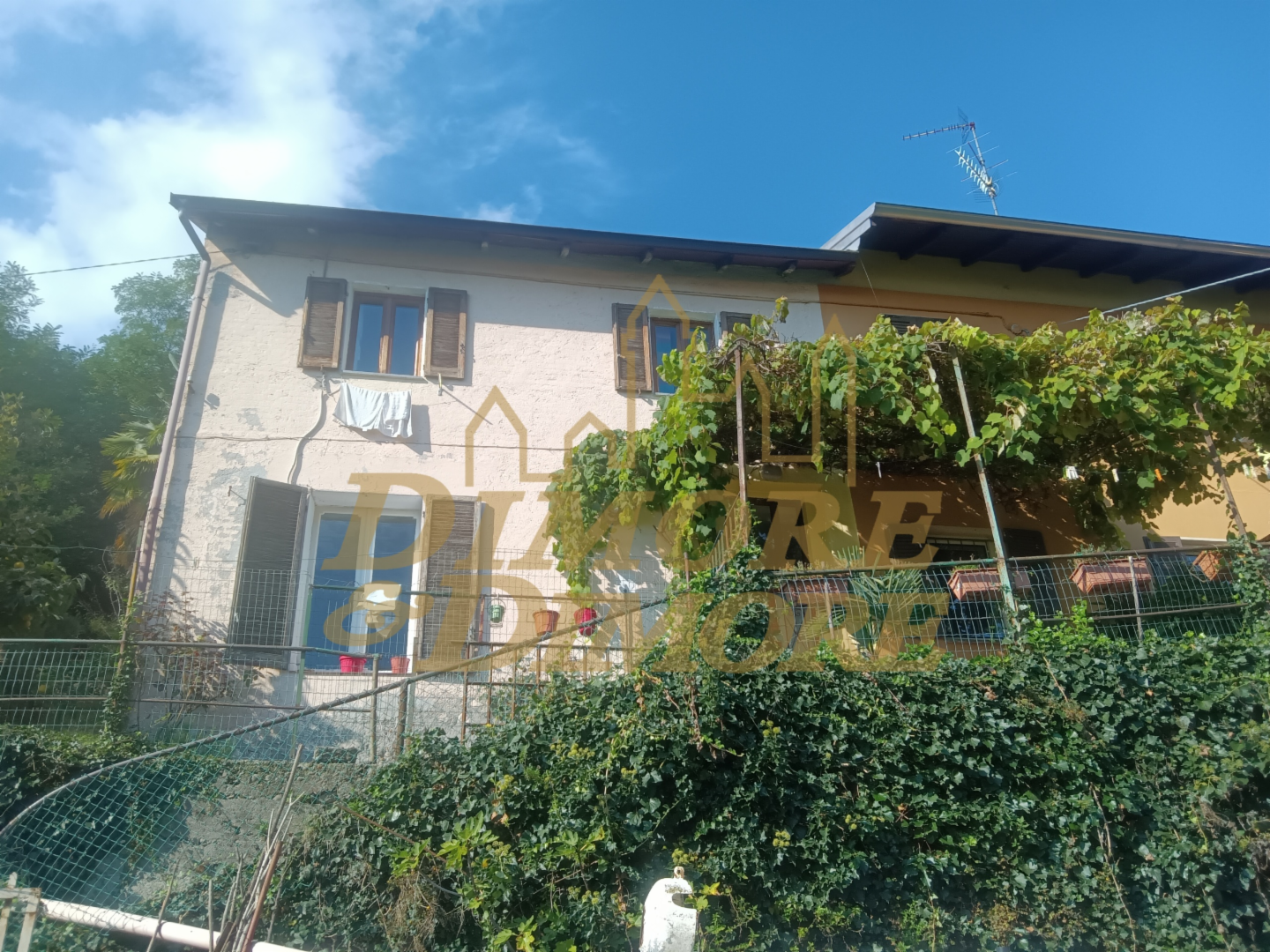 immagine annuncio 1 di 8