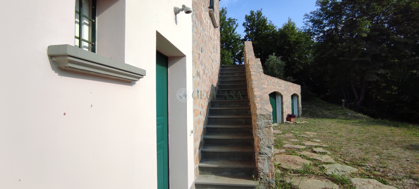 immagine annuncio 4 di 6