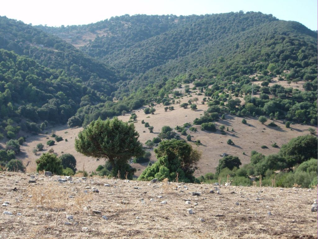 terreno edificabile in vendita a Mattinata