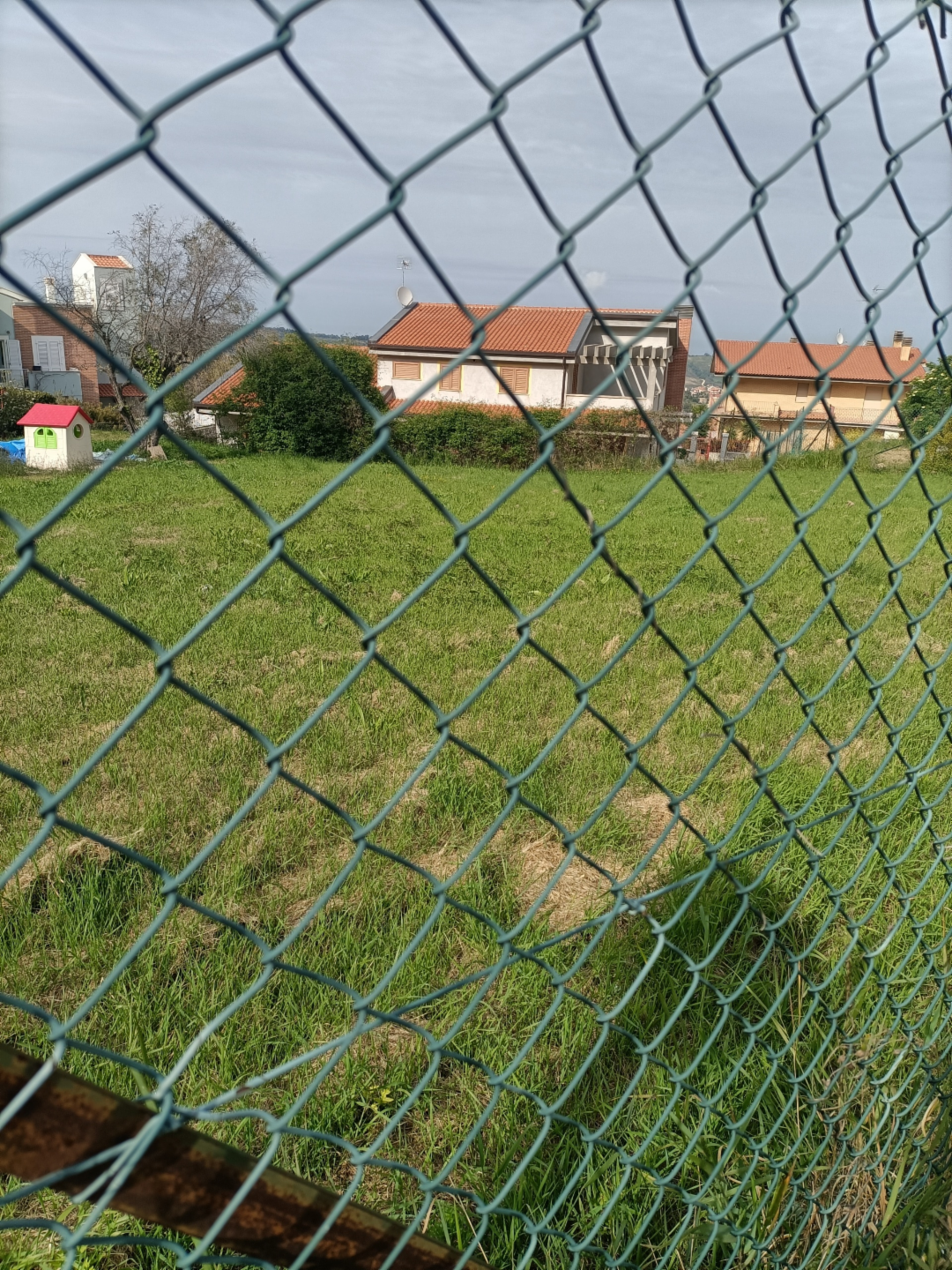 immagine annuncio 8 di 10