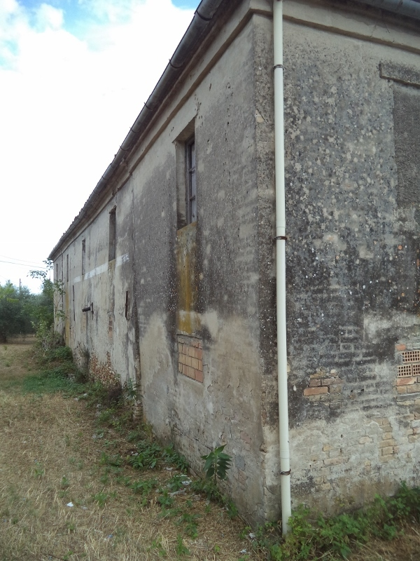 immagine annuncio 5 di 10