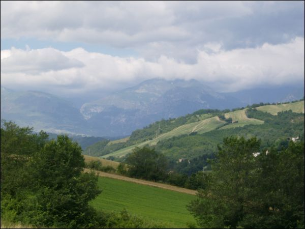 immagine annuncio 3 di 6