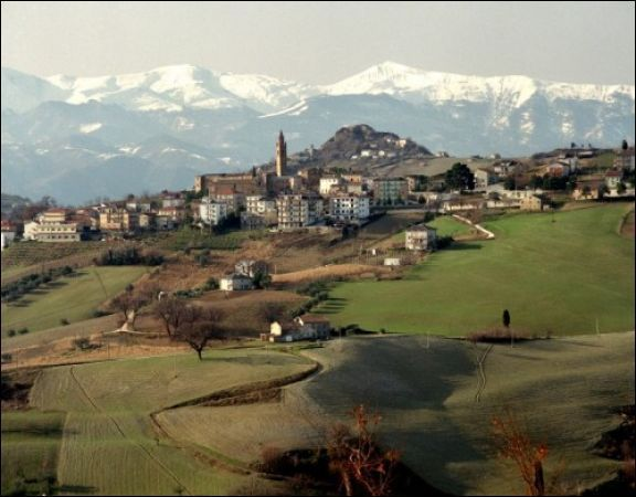 immagine annuncio 1 di 7