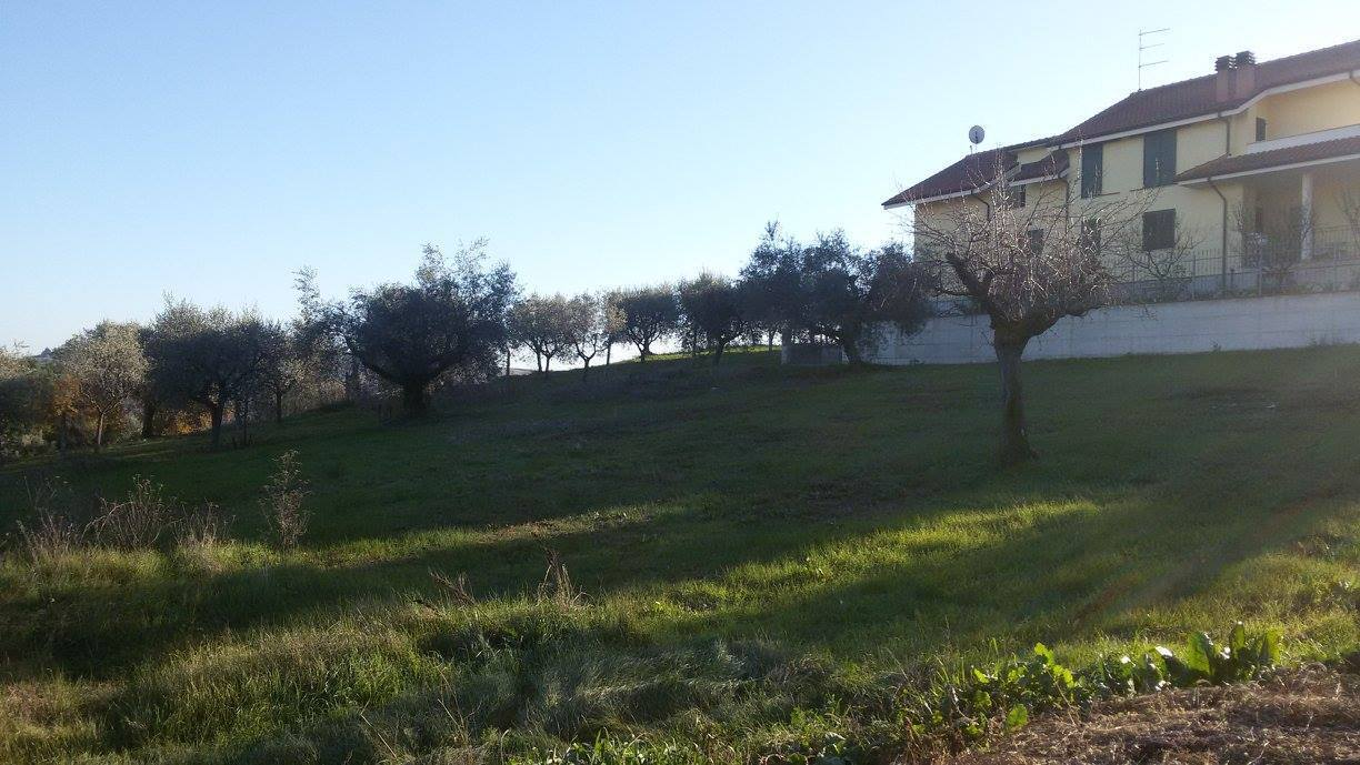immagine annuncio 2 di 10