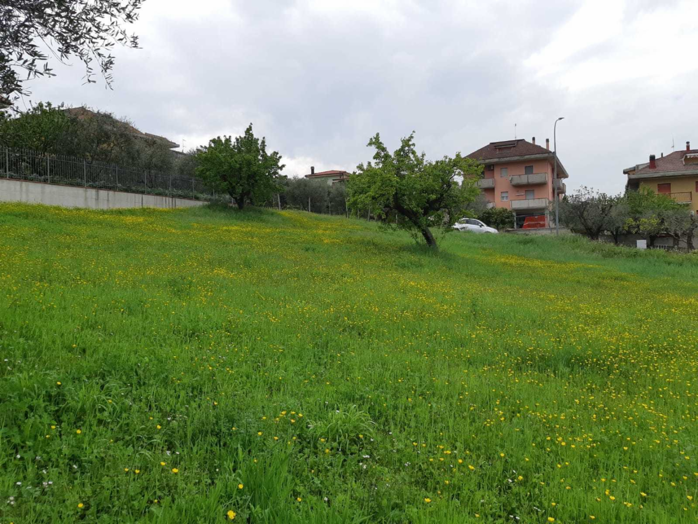 immagine annuncio 3 di 10