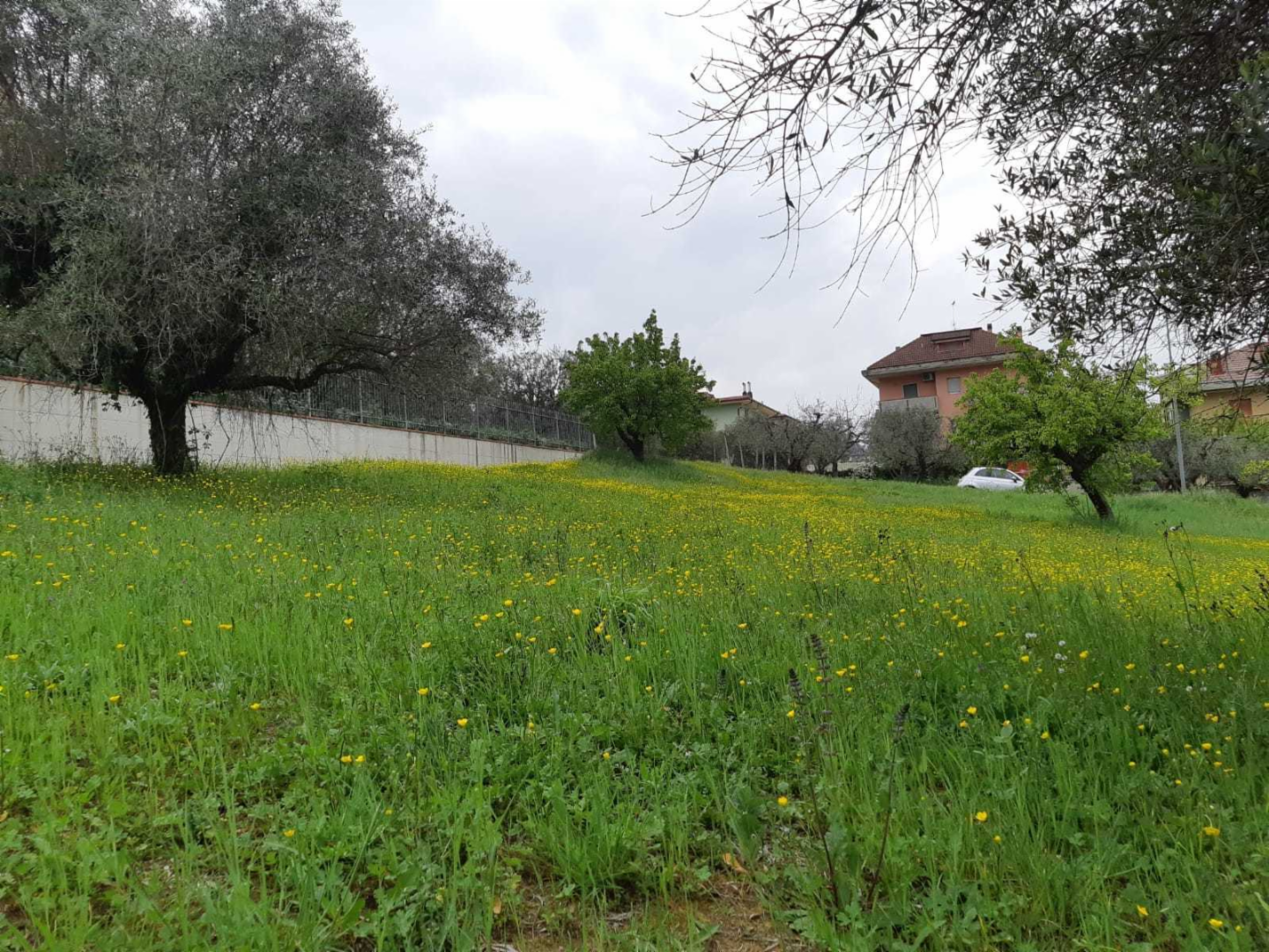 immagine annuncio 8 di 10