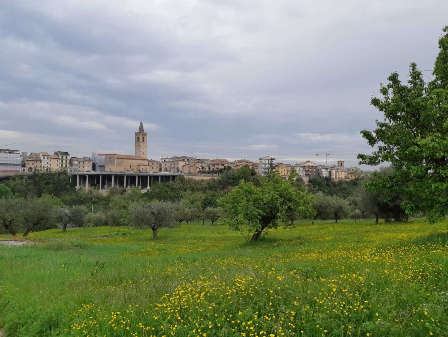 immagine annuncio 6 di 10
