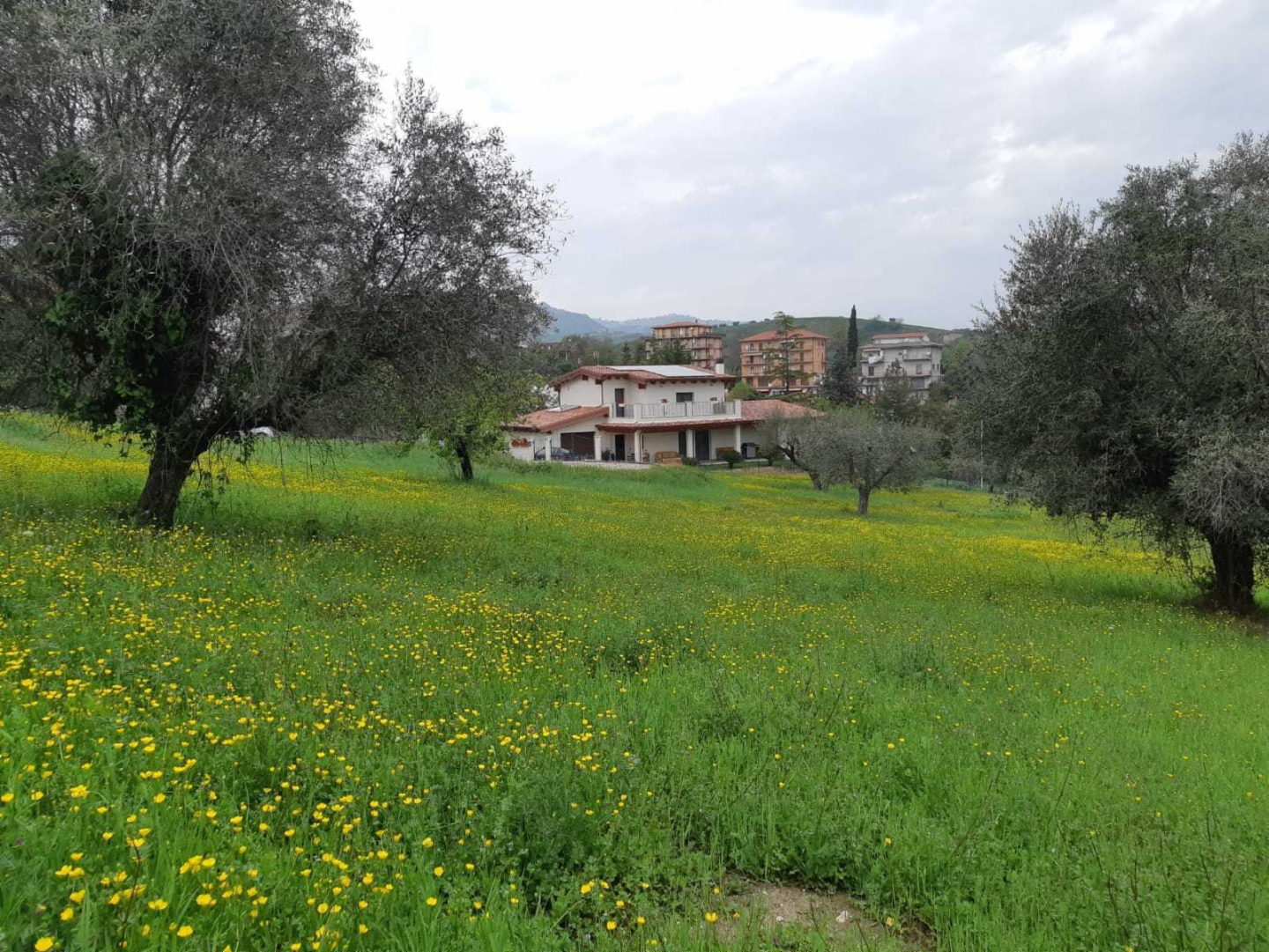 immagine annuncio 5 di 10