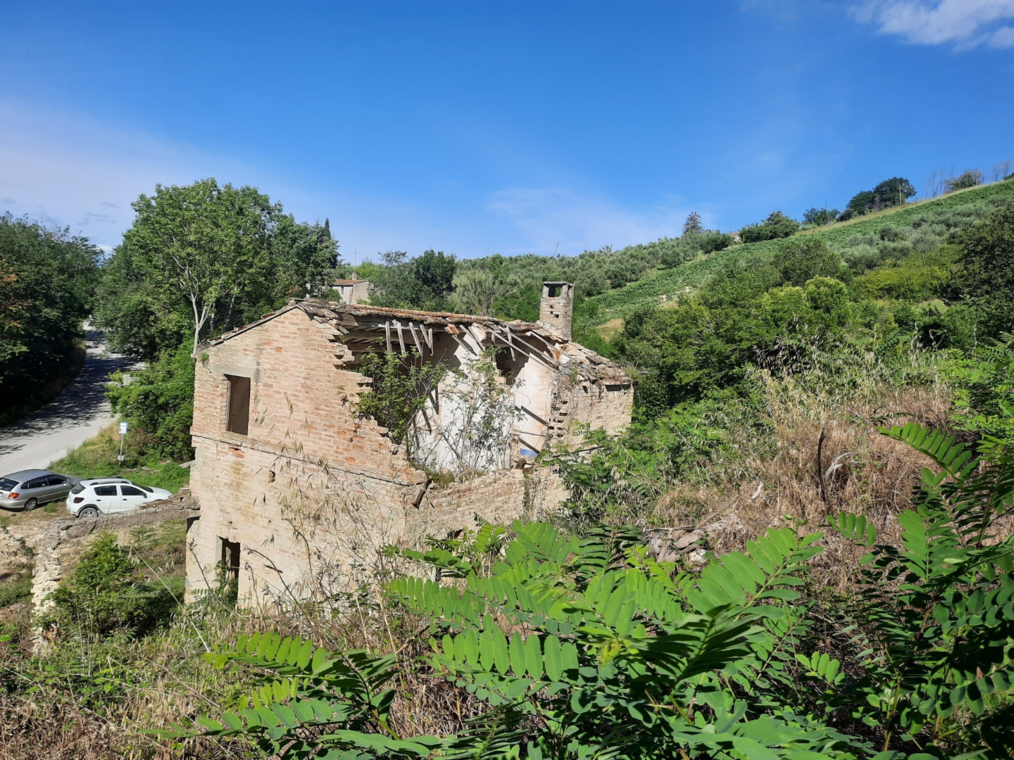 immagine annuncio 3 di 10