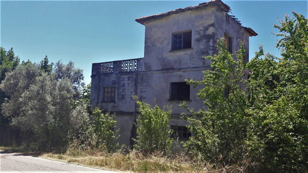 immagine annuncio 5 di 10