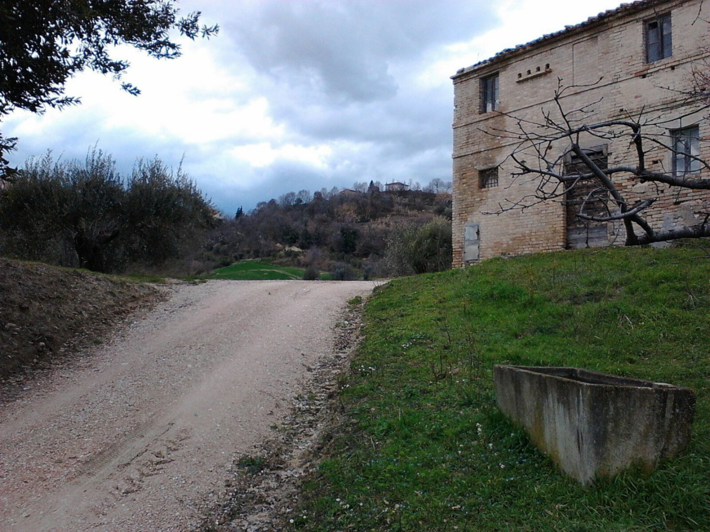 immagine annuncio 6 di 10
