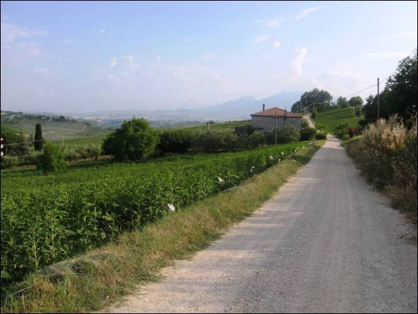 immagine annuncio 6 di 10