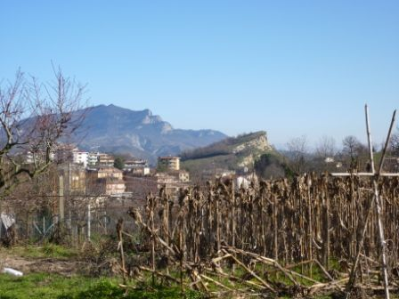 immagine annuncio 6 di 7