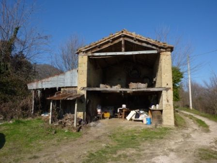 immagine annuncio 5 di 10