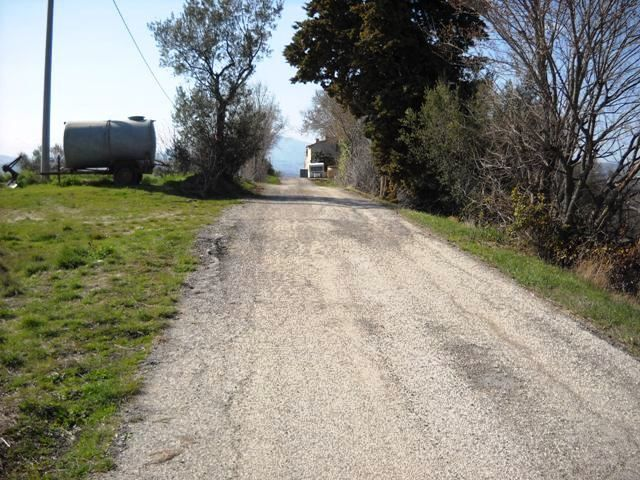 immagine annuncio 2 di 8