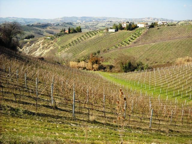 immagine annuncio 4 di 8