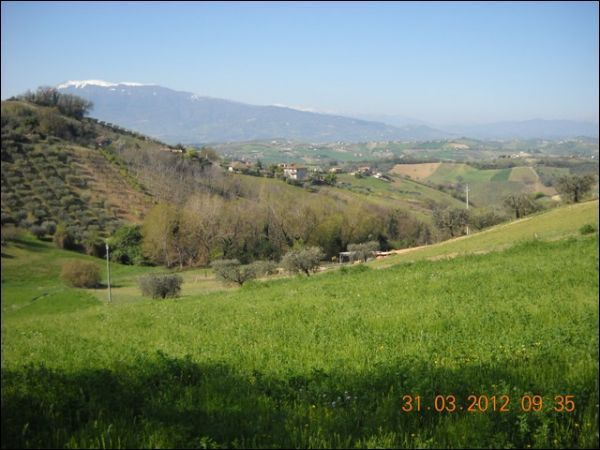 immagine annuncio 4 di 6