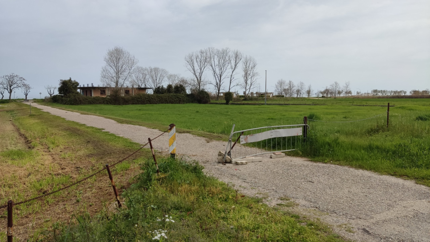 immagine annuncio 5 di 7