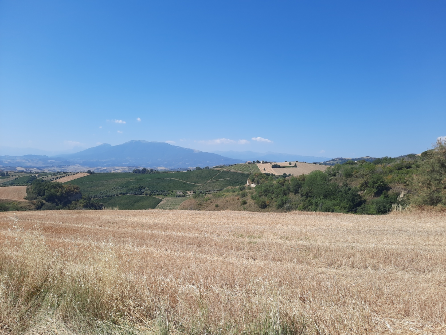 immagine annuncio 4 di 7