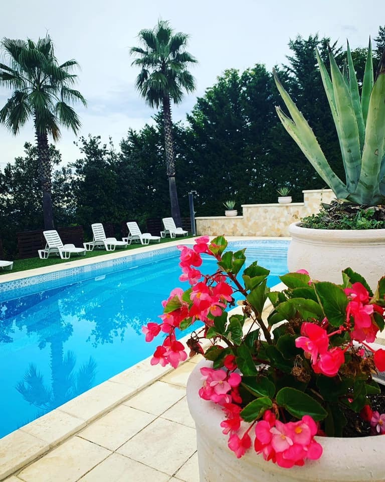 immagine annuncio 1 di 10