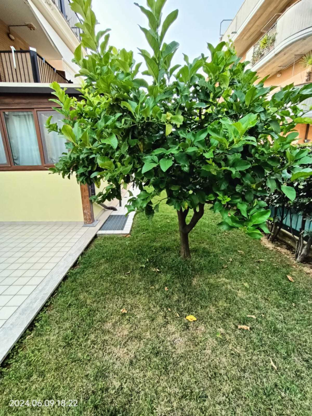 immagine annuncio 6 di 10