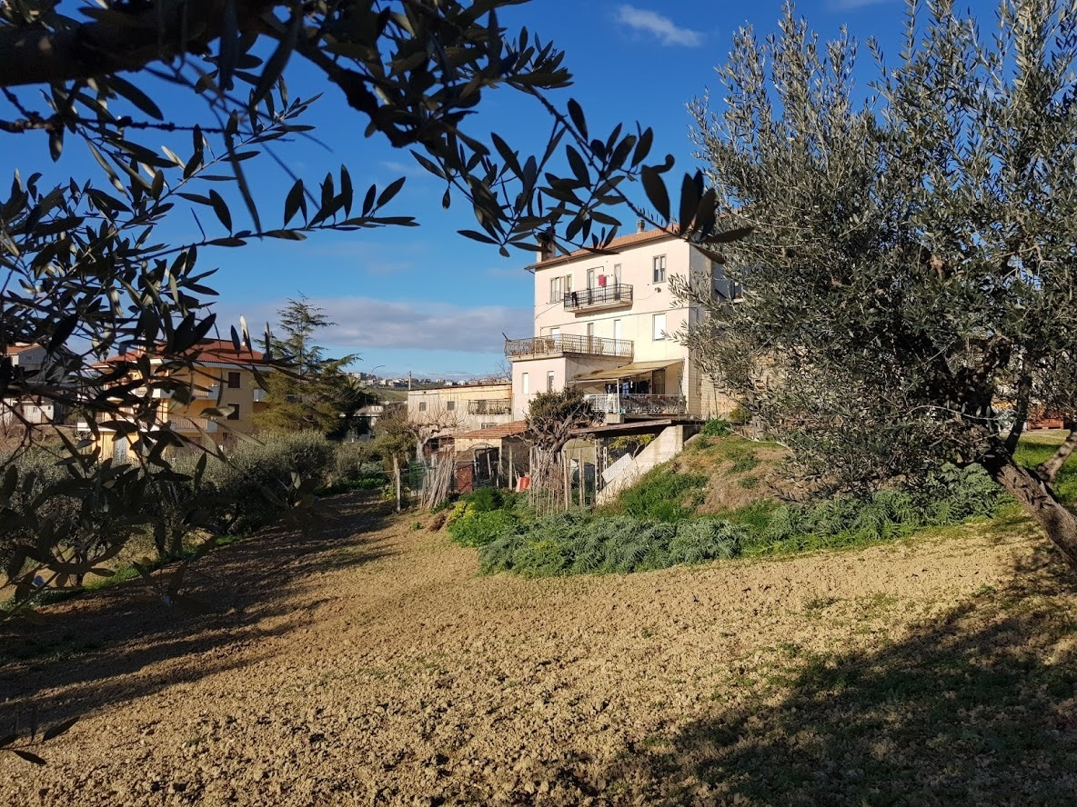 immagine annuncio 2 di 10