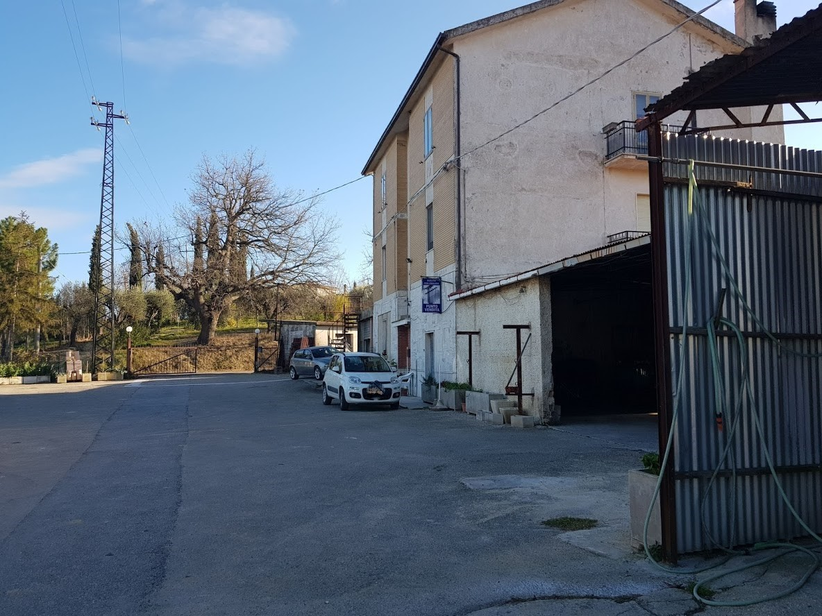 immagine annuncio 6 di 10