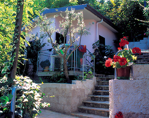 immagine annuncio 7 di 10