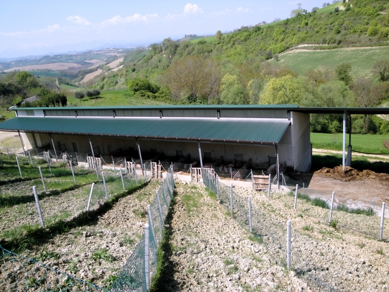 immagine annuncio 4 di 10