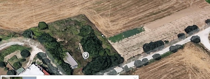 immagine annuncio 4 di 8