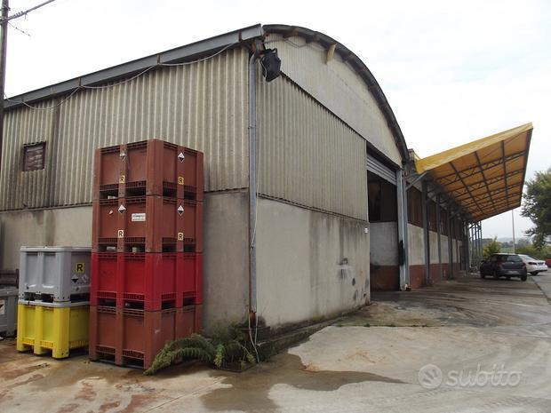 immagine annuncio 4 di 10