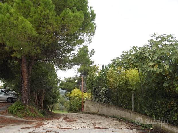 immagine annuncio 5 di 10