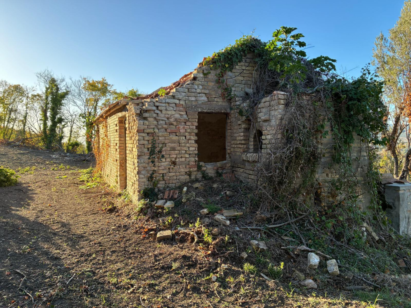 immagine annuncio 4 di 10