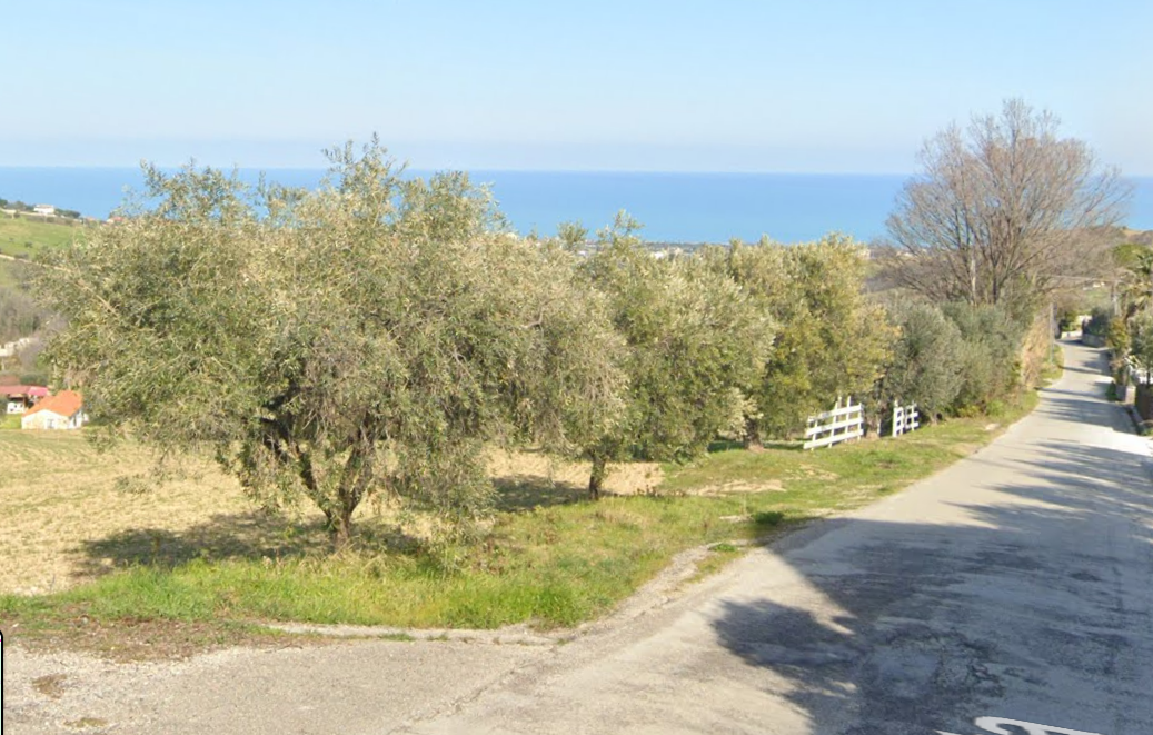 immagine annuncio 1 di 7