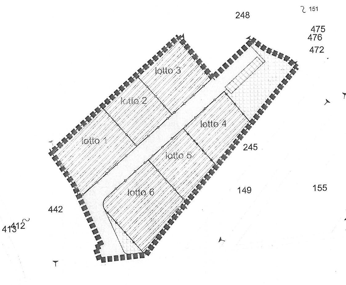 immagine annuncio 5 di 7