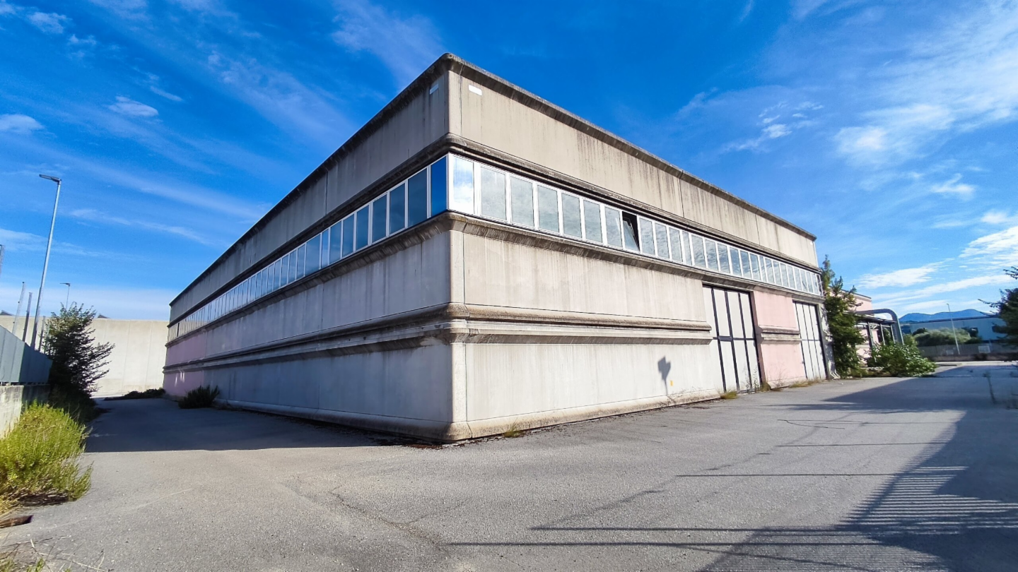 immagine annuncio 1 di 10