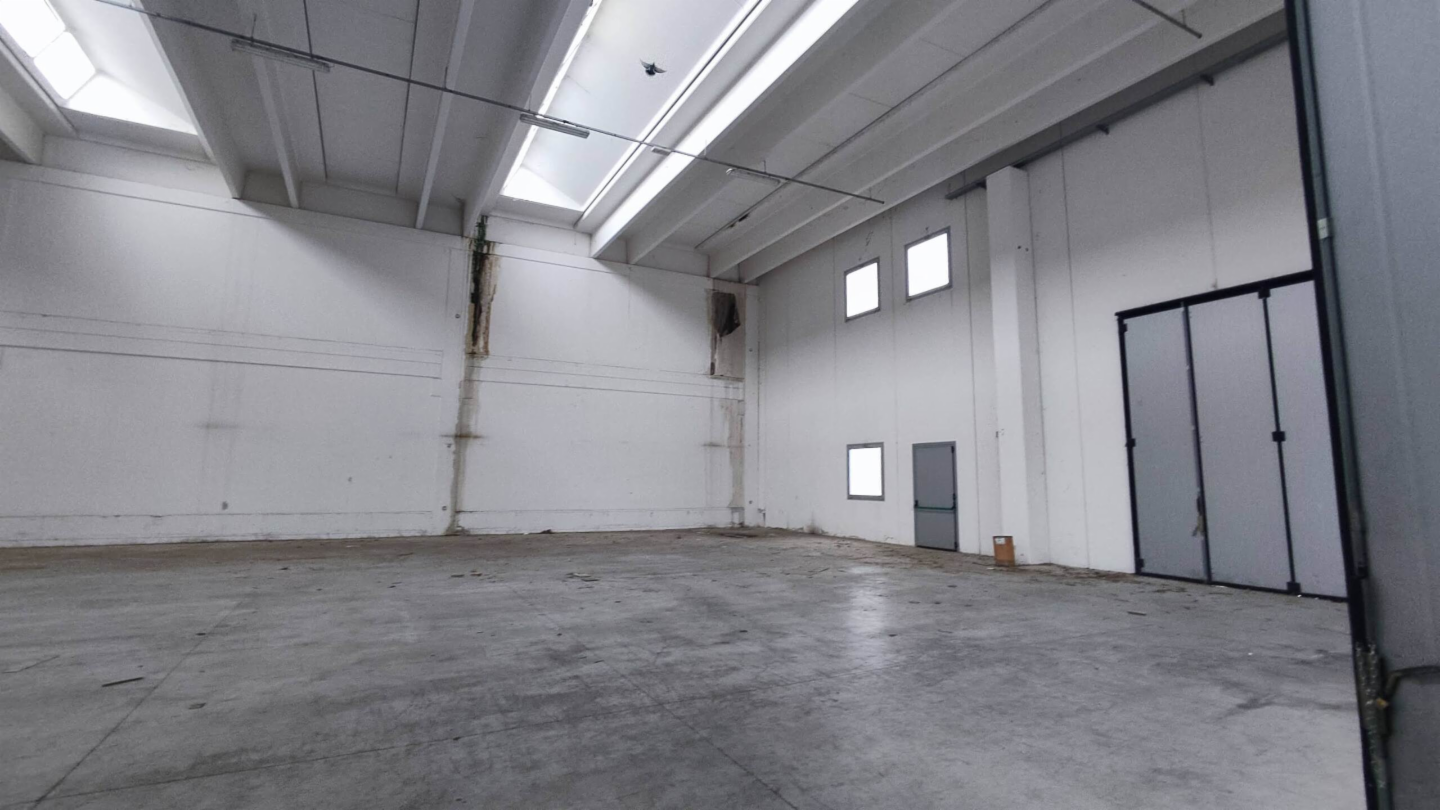 immagine annuncio 5 di 7