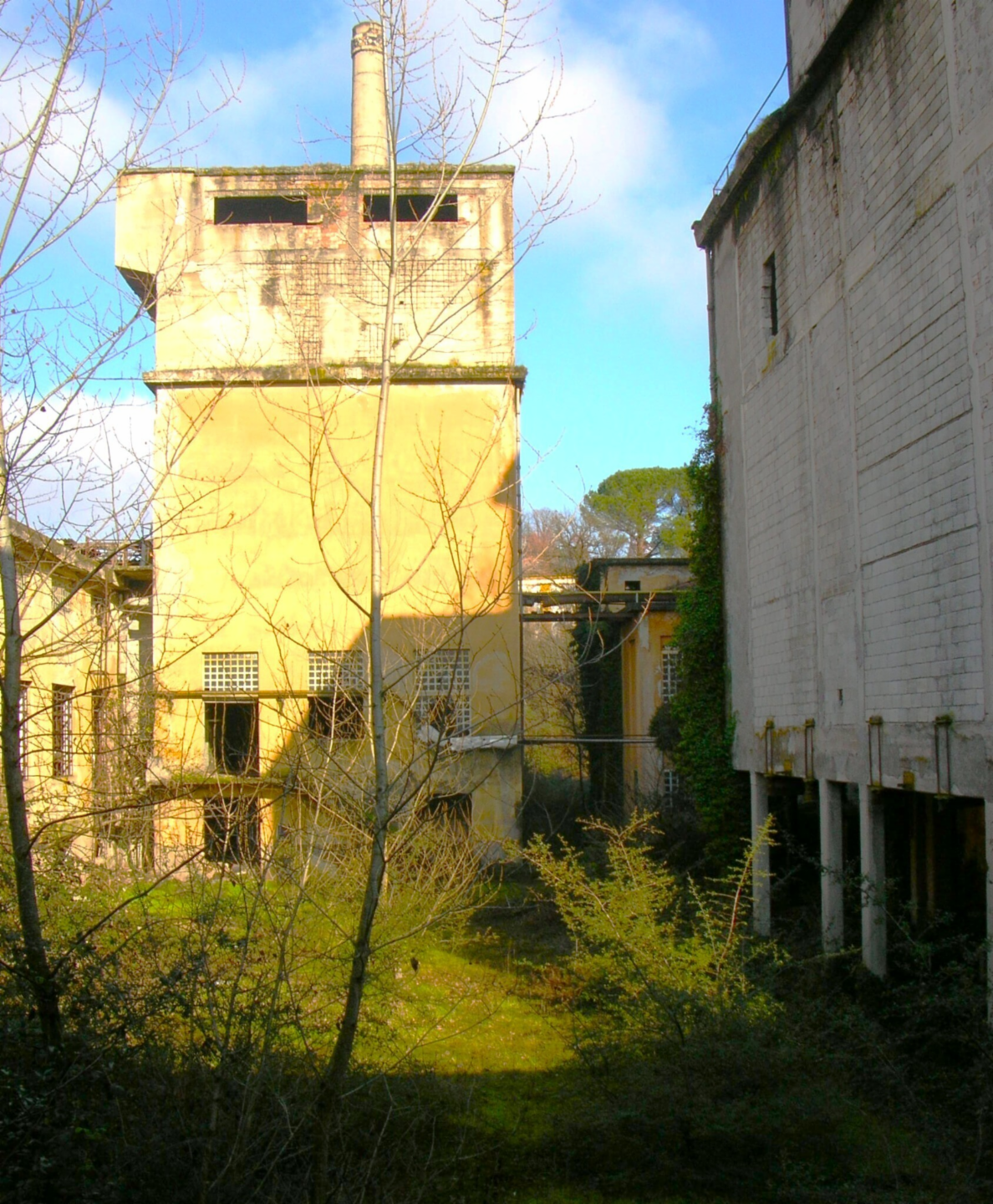 immagine annuncio 9 di 10
