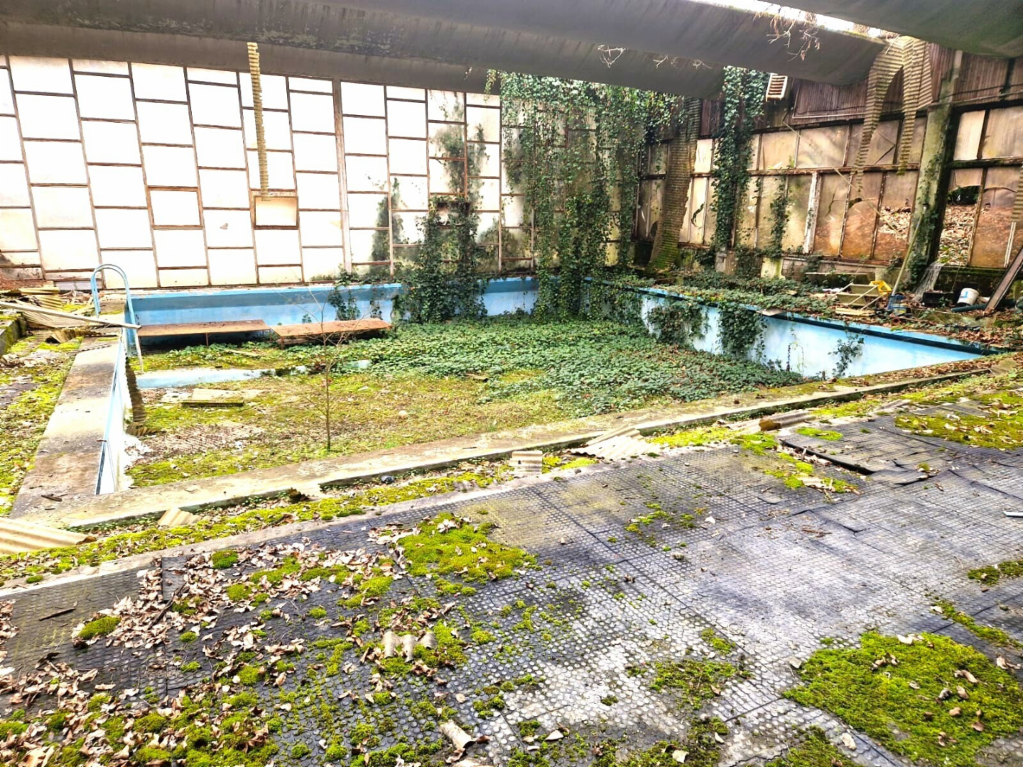 immagine annuncio 2 di 6